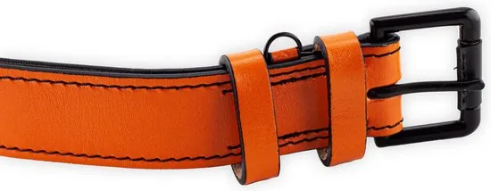 Brute Strength - Luxe leren halsband hond - Oranje - XL - (56 - 63) x 3,5 cm thumbnail 3