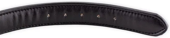 Brute Strength - Luxe leren halsband hond - Oranje - XL - (56 - 63) x 3,5 cm thumbnail 4
