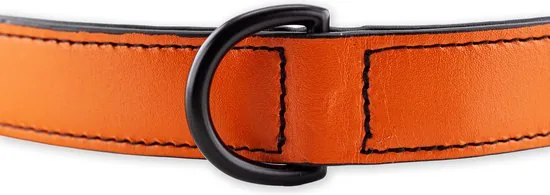 Brute Strength - Luxe leren halsband hond - Oranje - XL - (56 - 63) x 3,5 cm thumbnail 5