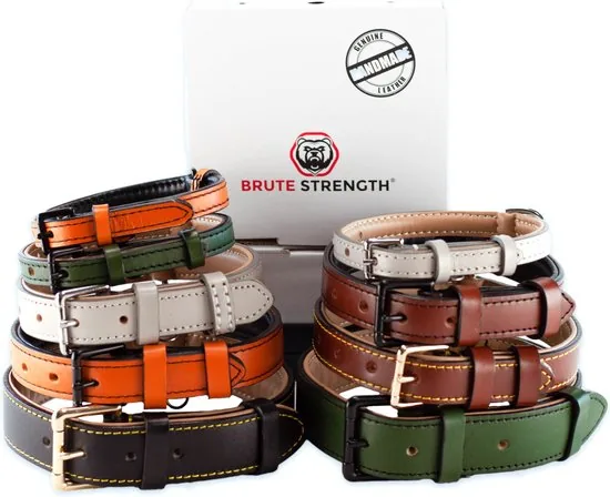 Brute Strength - Luxe leren halsband hond - Oranje - XXL - (66 - 73) x 3,5 cm thumbnail 9