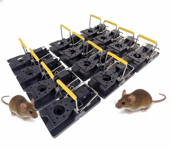TWILG Muizenval - Muizenvallen - Muizenklem binnen en buiten - 12 stuks - Mouse trap - Muizengif Alternatief - Afbeelding 1