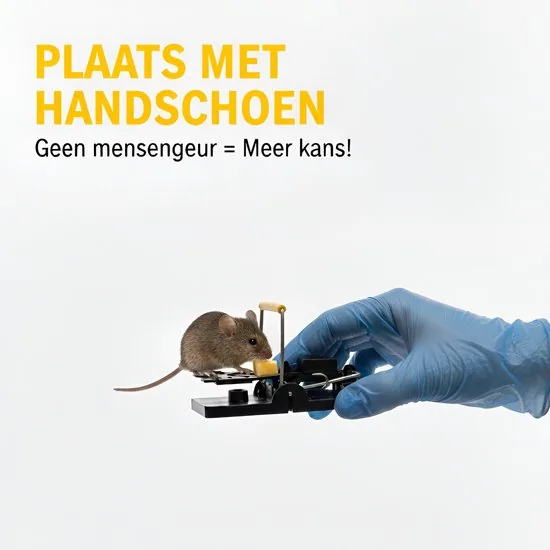 TWILG Muizenval - Muizenvallen - Muizenklem binnen en buiten - 12 stuks - Mouse trap - Muizengif Alternatief thumbnail 12