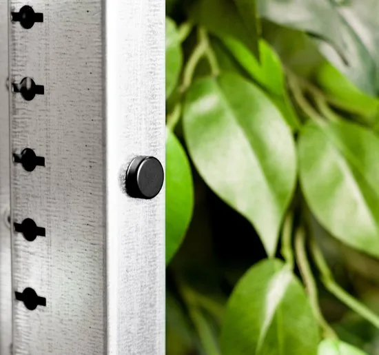 Brute Strength - Super sterke magneten - Rond - 15 x 5 mm - 20 Stuks - Zwarte magneten - Neodymium magneet sterk thumbnail 2