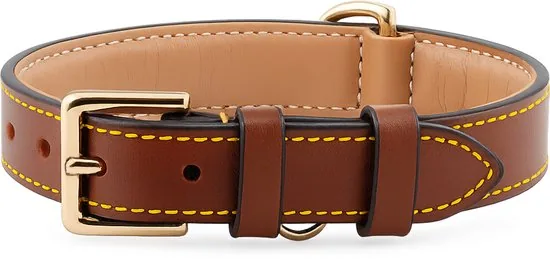 Brute Strength - Luxe leren halsband hond - Bruin - M - (36 - 43 cm) x 2,5cm - Afbeelding 1