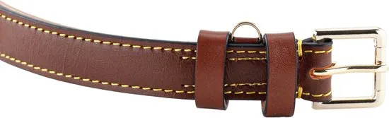 Brute Strength - Luxe leren halsband hond - Bruin - M - (36 - 43 cm) x 2,5cm thumbnail 4