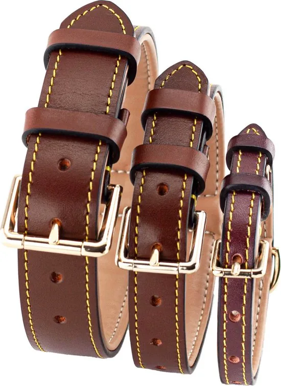 Brute Strength - Luxe leren halsband hond - Bruin - M - (36 - 43 cm) x 2,5cm thumbnail 7