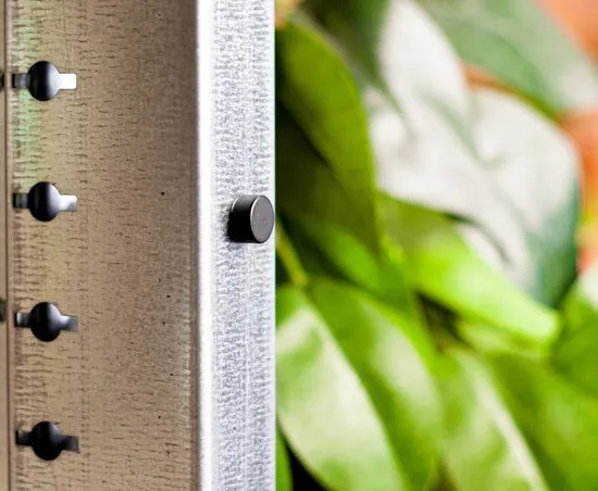 Brute Strength - Super sterke magneten - Rond - 10 x 5 mm - 20 Stuks - Zwarte magneten - Neodymium magneet sterk thumbnail 5