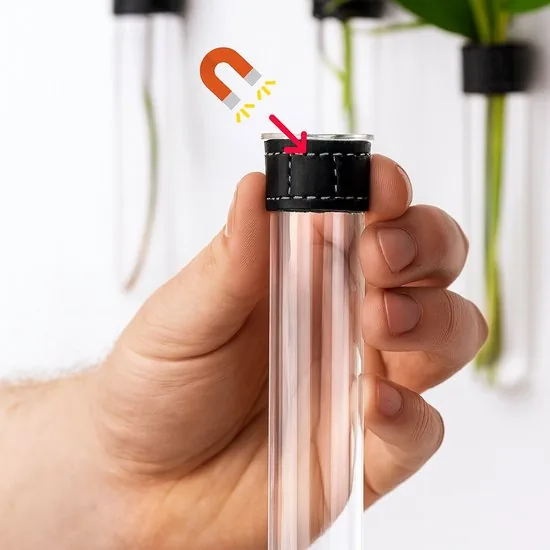 TWILG - Magnetische Muurvaasjes - 2 Stuks - Stek vaasjes - Glas - Zwart leer - Stekjes thumbnail 8