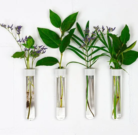 TWILG - Magnetische Muurvaasjes - 4 Stuks - Stek vaasjes - Glas - Wit leer - Stekjes - Afbeelding 1