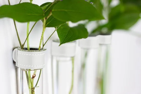 TWILG - Magnetische Muurvaasjes - 4 Stuks - Stek vaasjes - Glas - Wit leer - Stekjes thumbnail 3