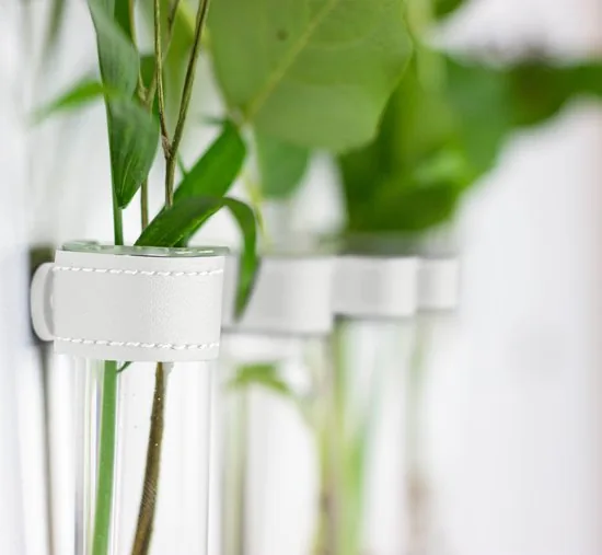 TWILG - Magnetische Muurvaasjes - 4 Stuks - Stek vaasjes - Glas - Wit leer - Stekjes thumbnail 9