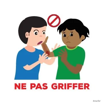 Pictogramme - Ne pas griffer 2